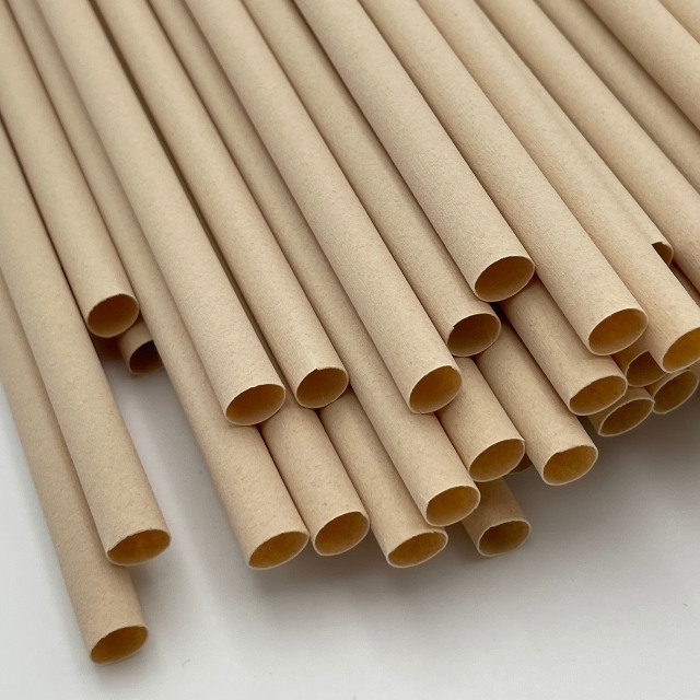 Bamboo Straw