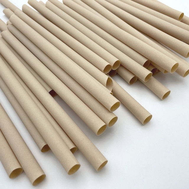 Bamboo Straw