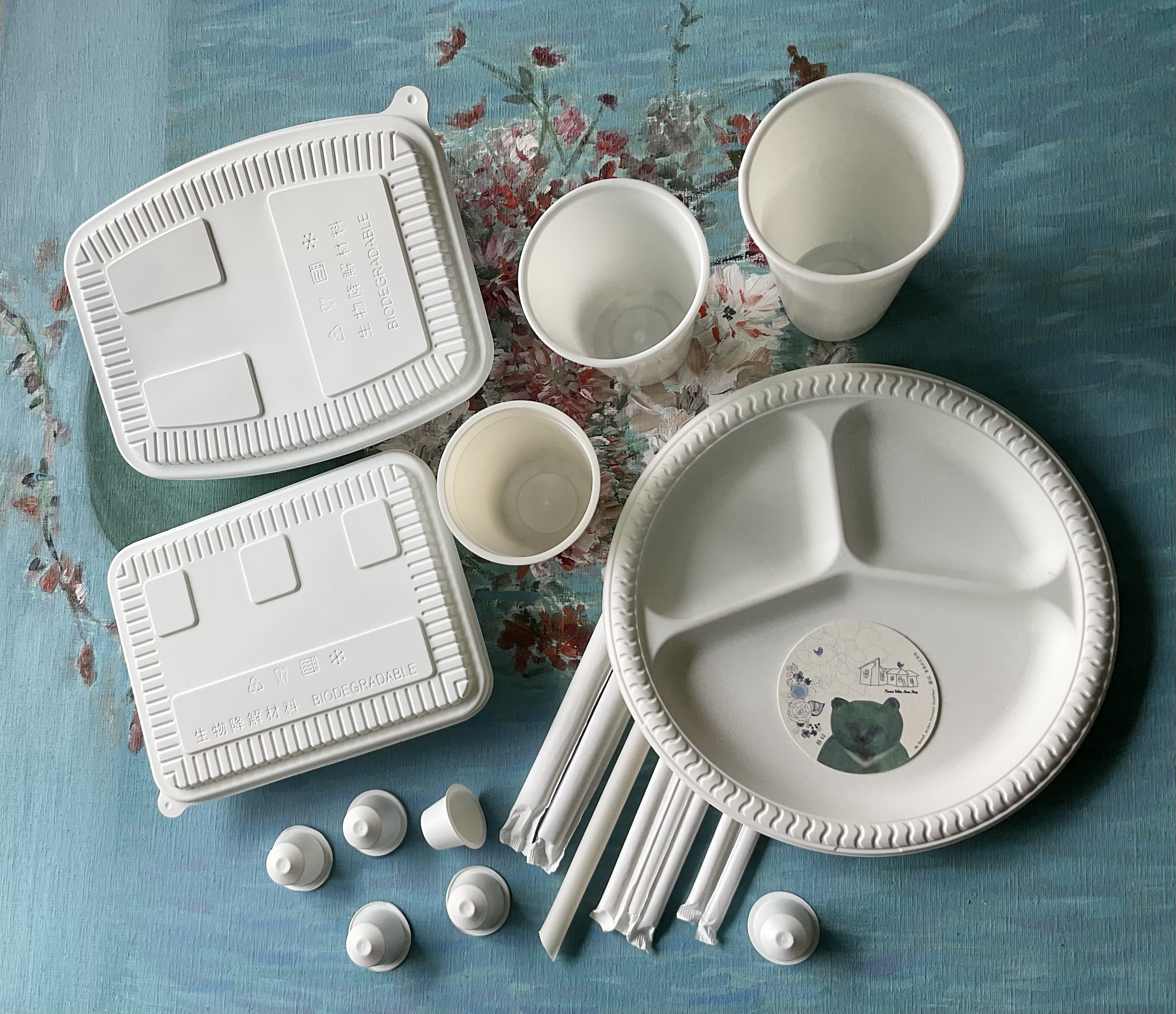 ECO  Biodegradable materials and products--Food Utensils, Food Packaging