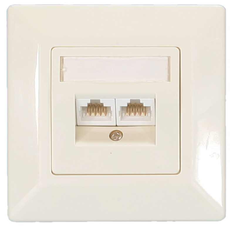 German FaceplateOutlet Series CAT 5E, 6 UTP 2port Angled type